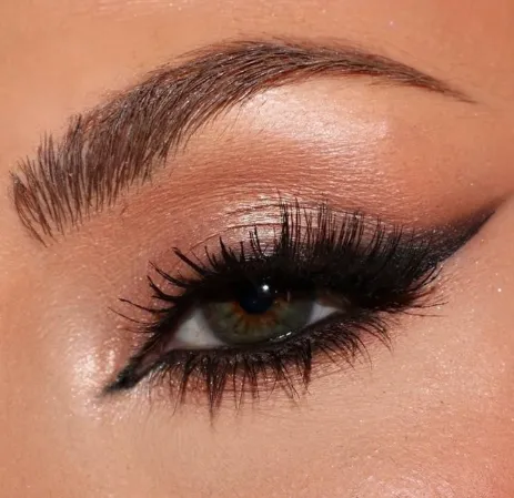 Screenshot 2026-03-24 150018.webp