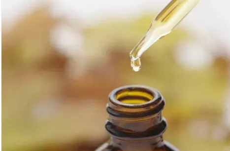 Screenshot 2026-03-25 212009.webp